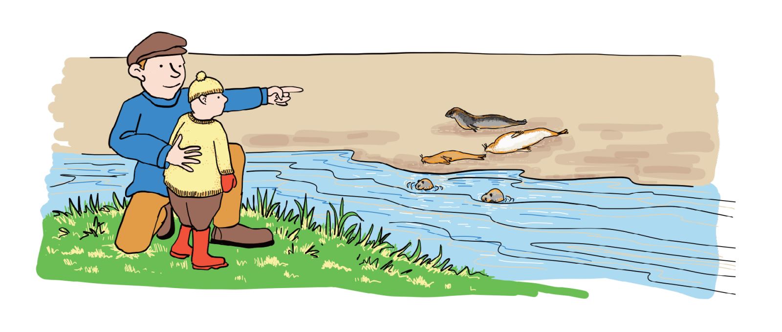 Seal Watching illustration